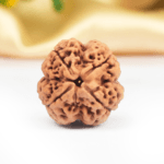 5 Mukhi Rudraksha Nepal