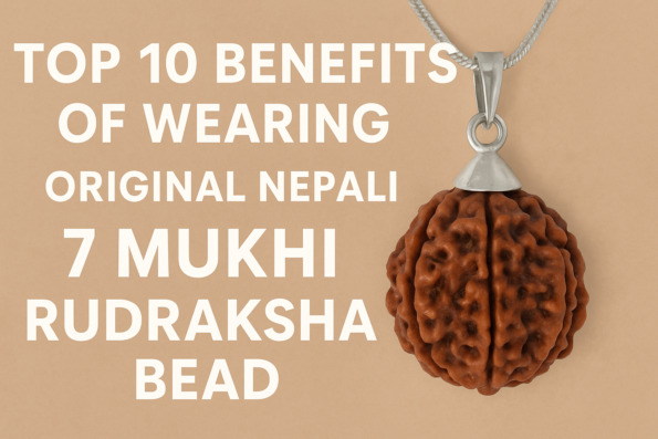 7 Mukhi Rudraksha