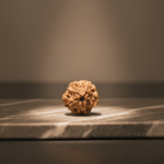 1 Mukhi Rudraksha Nepal Origin – Certified & Energized Vastu yantra