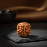 1 Mukhi Rudraksha Nepal Origin – Certified & Energized Vastu yantra