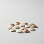 gomati Chakra 12 pcs vy