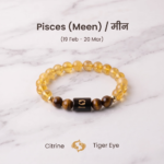 Pisces Citrine & Tiger Eye Natural Stone Bracelet